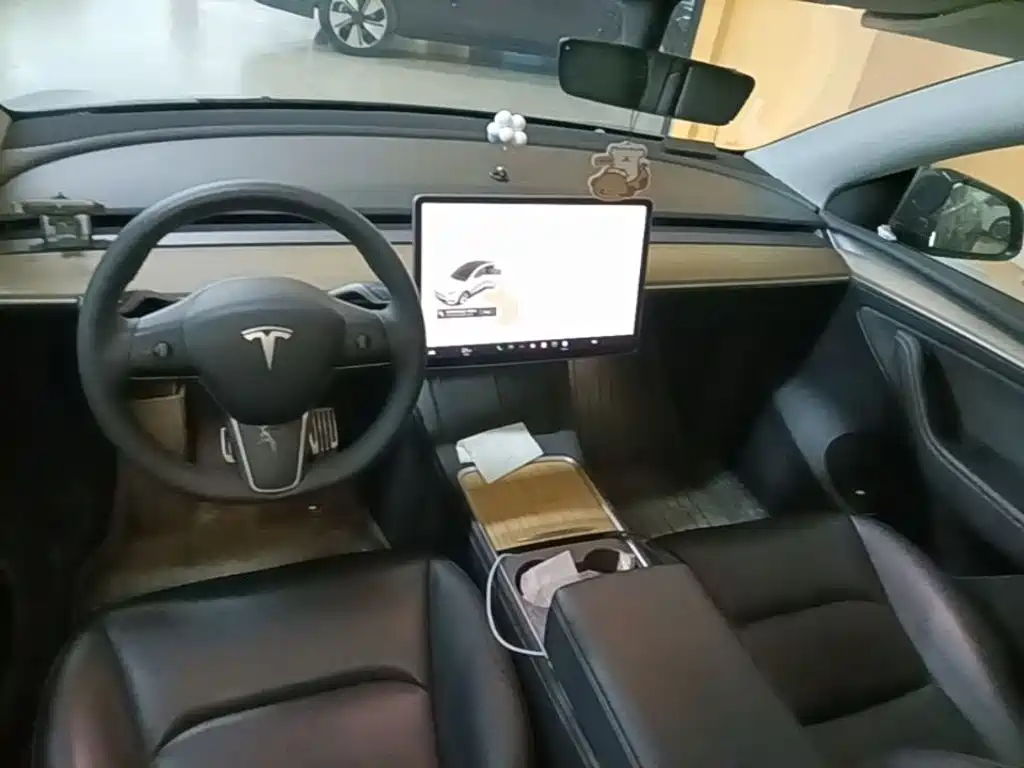 Tesla Model Y — миниатюра 10