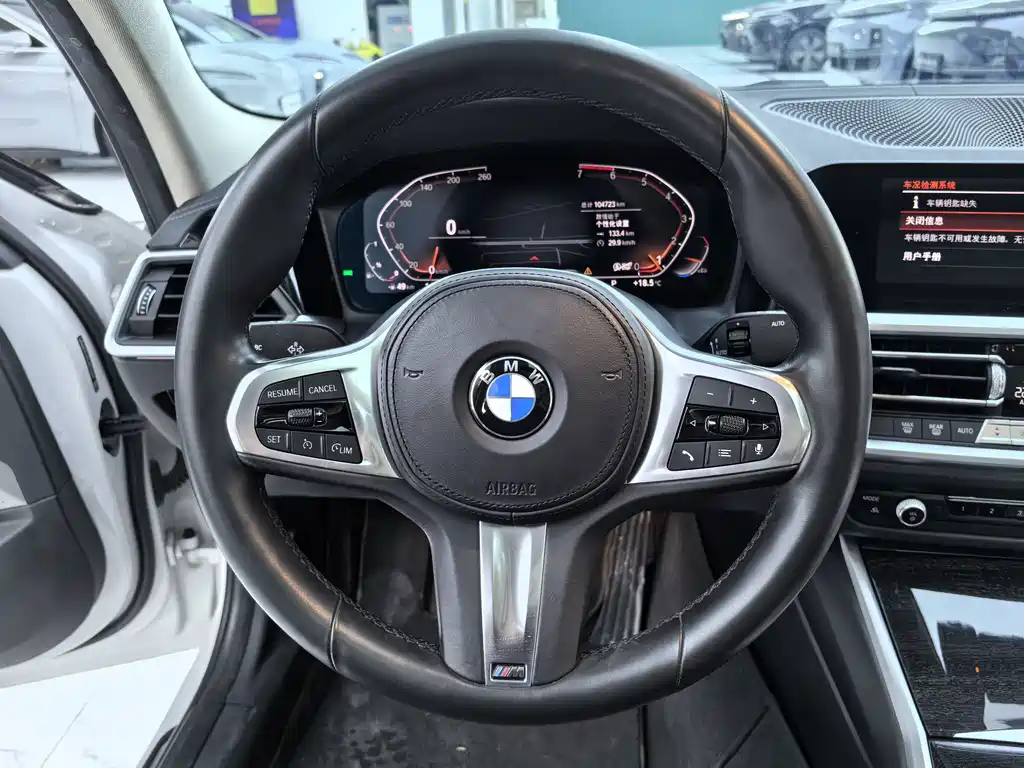 BMW 3 Series 3 2020 325Li M Sport