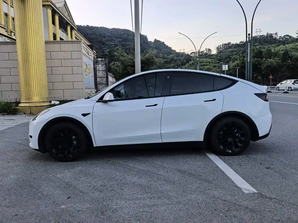 Tesla Model Y — миниатюра 4