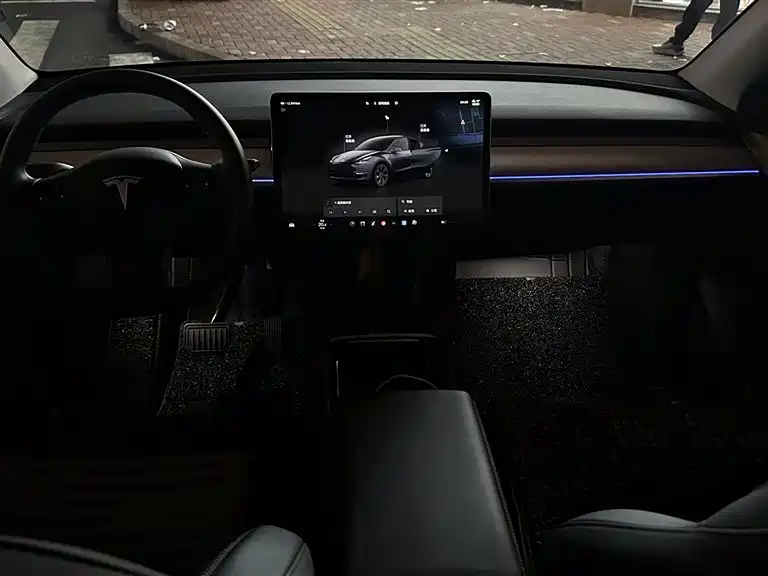 TESLA MODEL Y
