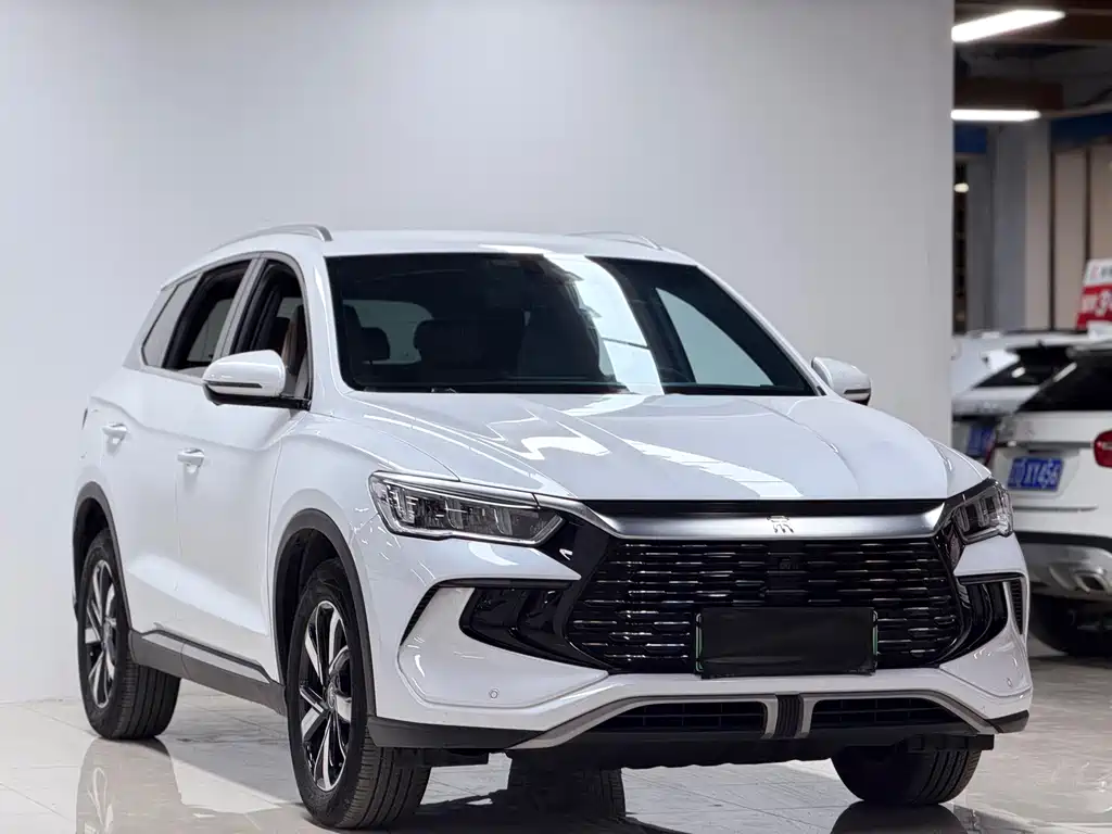 BYD Pro New Energy — миниатюра 2