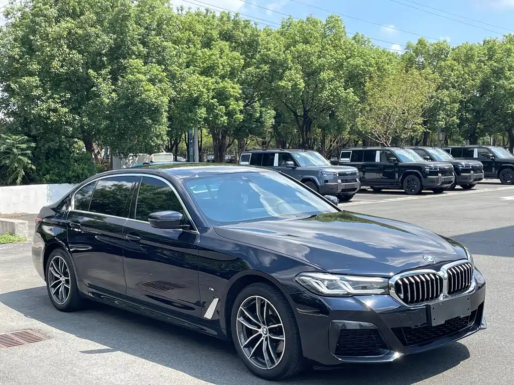 BMW 5 Series — миниатюра 3