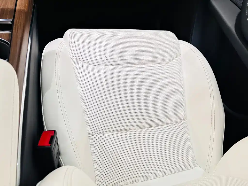 Tesla Model X — миниатюра 11