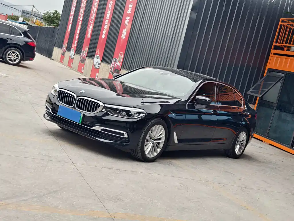 BMW 5 Series New Energy 2020