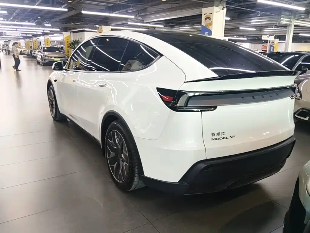 Tesla Model Y L — миниатюра 5