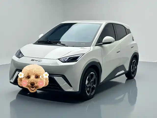 2024 BYD Seagull