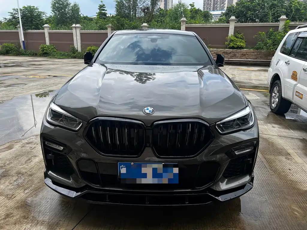 BMW X6 — миниатюра 2
