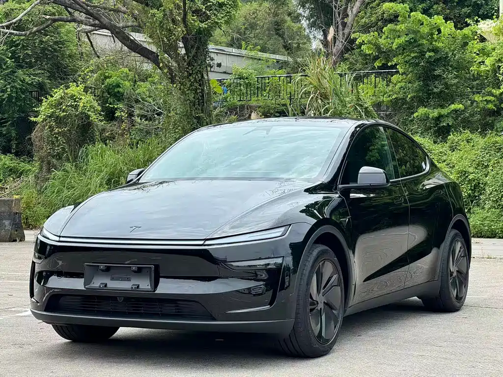 Tesla Model Y — фотографии объявления, Фото 2