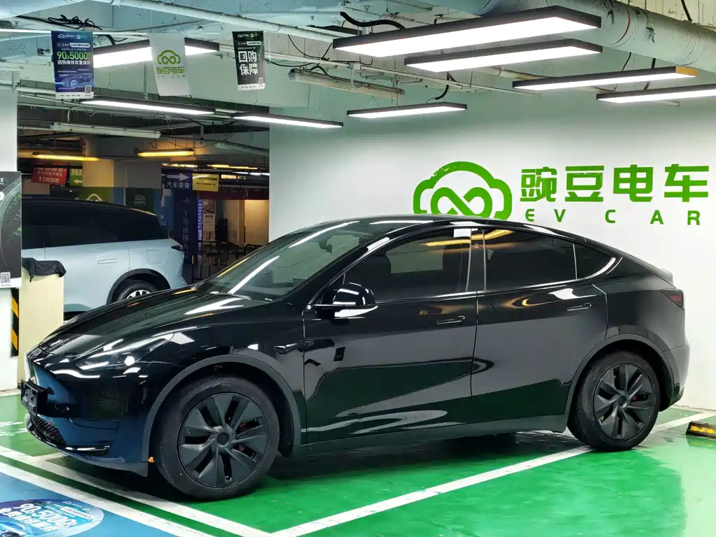 Tesla Model Y — миниатюра 2