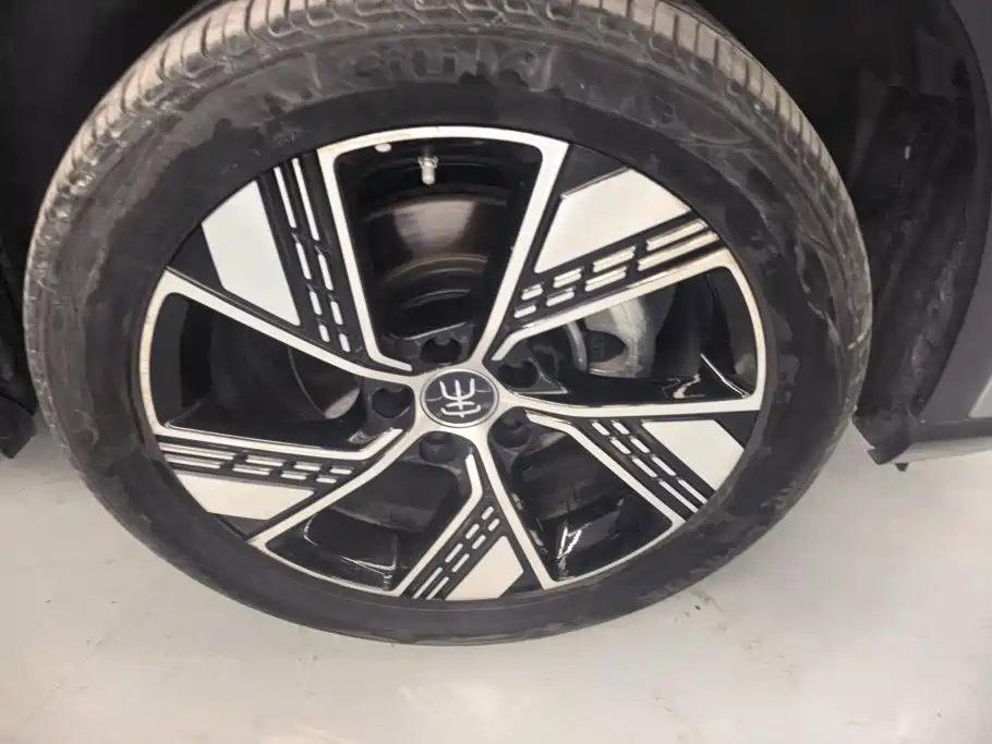 BYD Pro New Energy — миниатюра 6