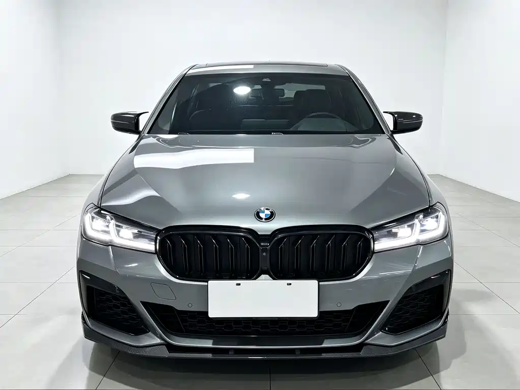 BMW 5 Series (Import) — миниатюра 2
