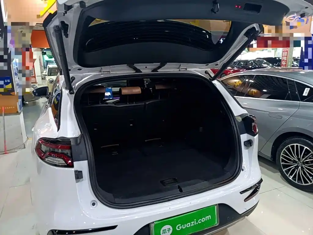 BYD Tang New Energy — миниатюра 19
