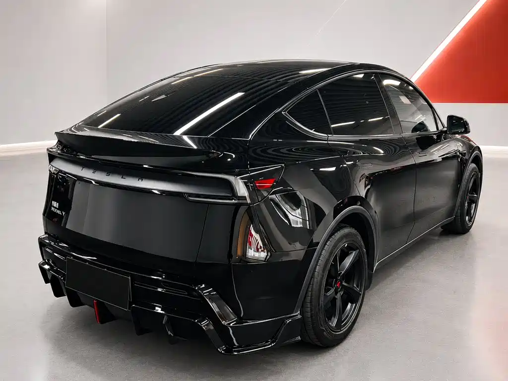 Tesla Model Y — миниатюра 4