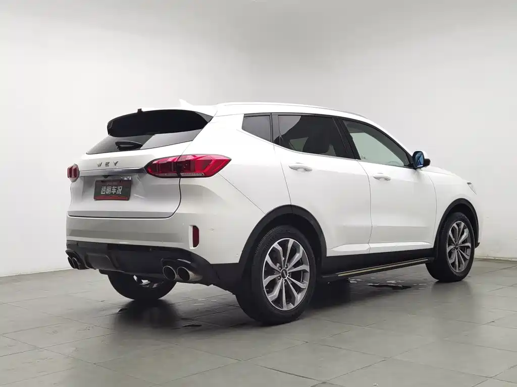 Wey Wey VV6 — миниатюра 2