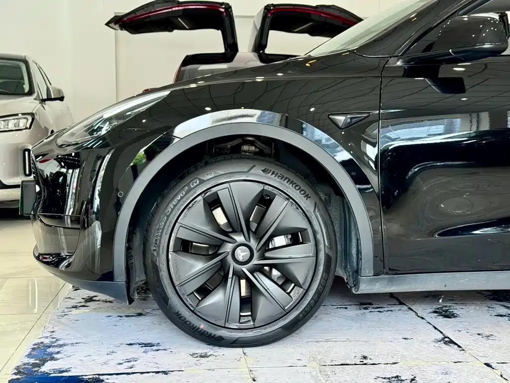 Tesla Model Y — миниатюра 10