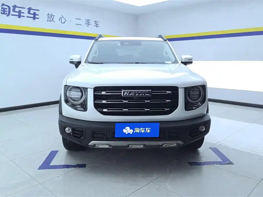 HAVAL BIG DOG