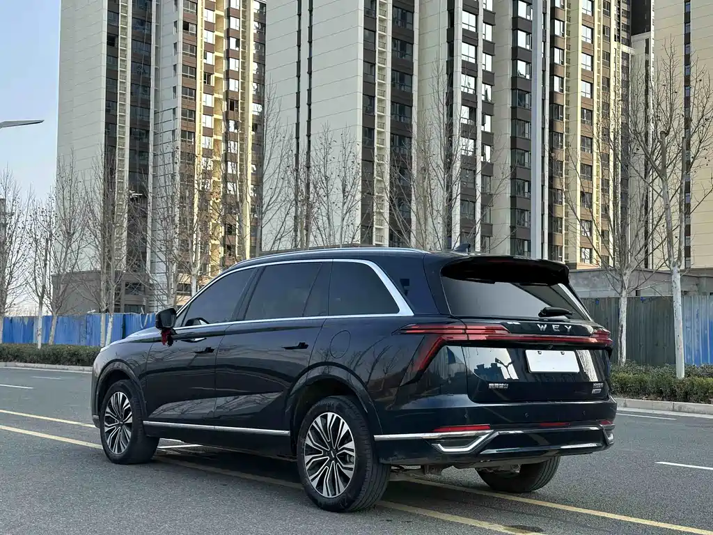 WEI PAI WEI BRAND BLUE MOUNTAIN