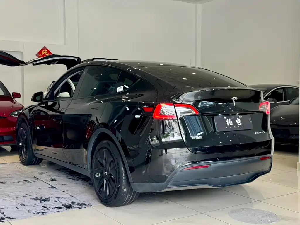 Tesla Model Y — миниатюра 13