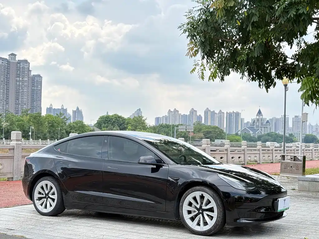 Tesla Model 3 — миниатюра 3