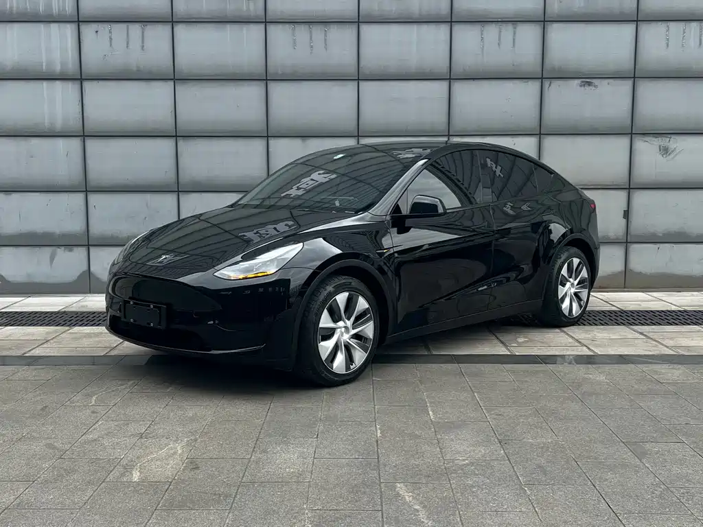 Tesla Model Y — миниатюра 2