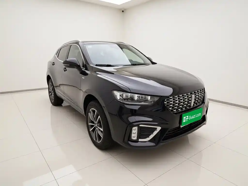 Wey Wey VV5 — миниатюра 3