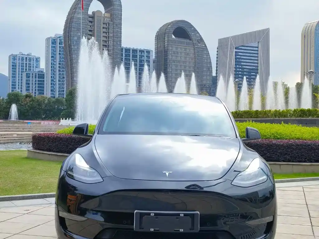 Tesla Model Y — миниатюра 2