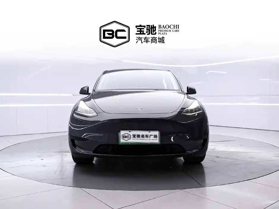 Tesla Model Y — миниатюра 2