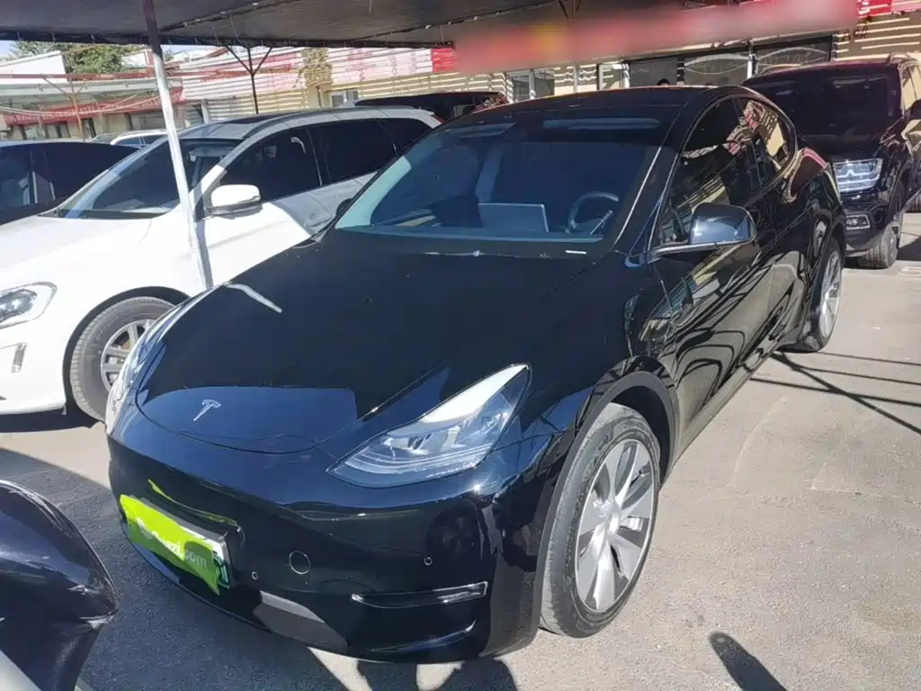 Tesla Model Y — миниатюра 3