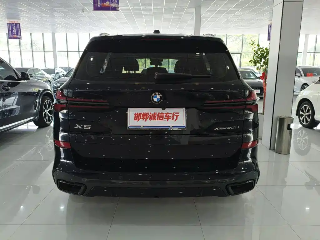 BMW X5 — миниатюра 5