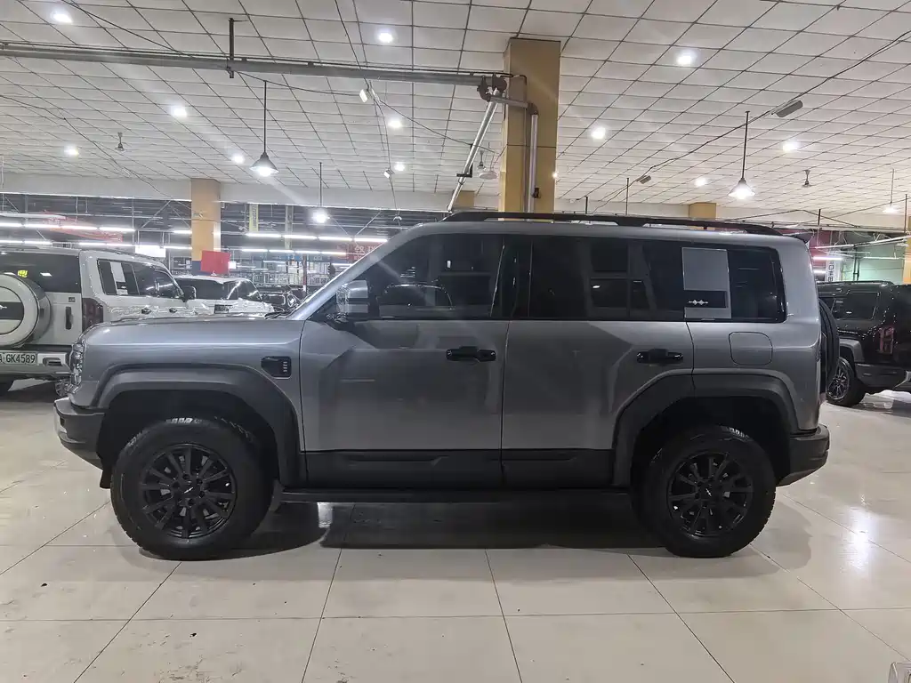 FANG CHENG BAO LEOPARD 5