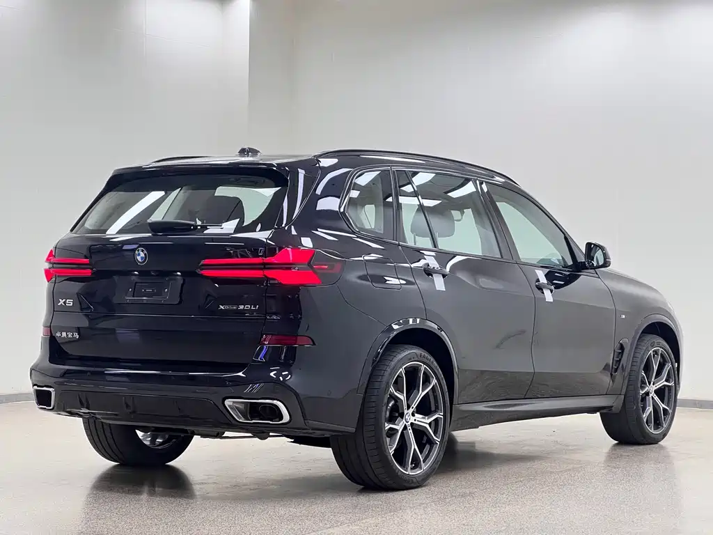 BMW X5 — миниатюра 5