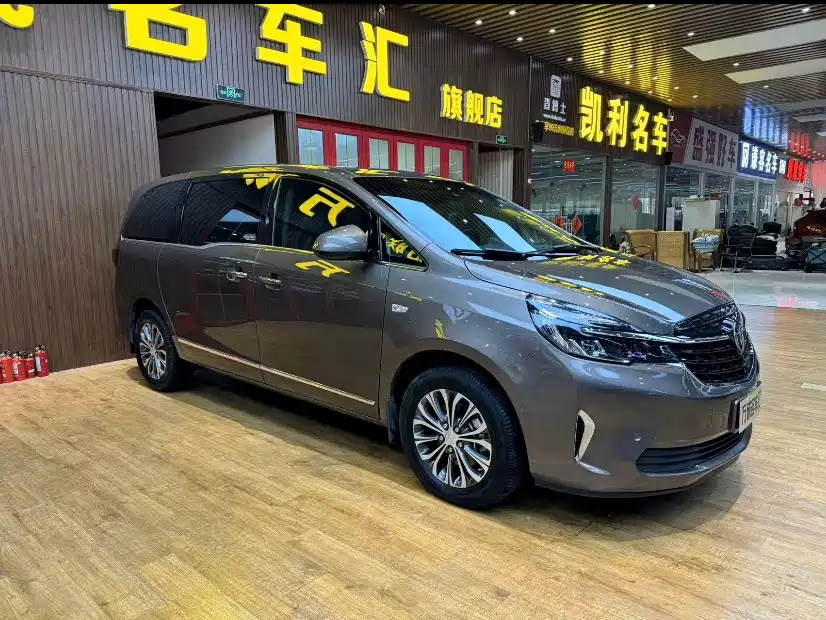 Buick GL8 — миниатюра 3