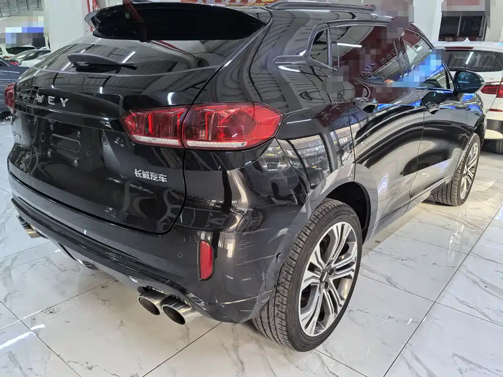 WEI PAI WEI BRAND VV5