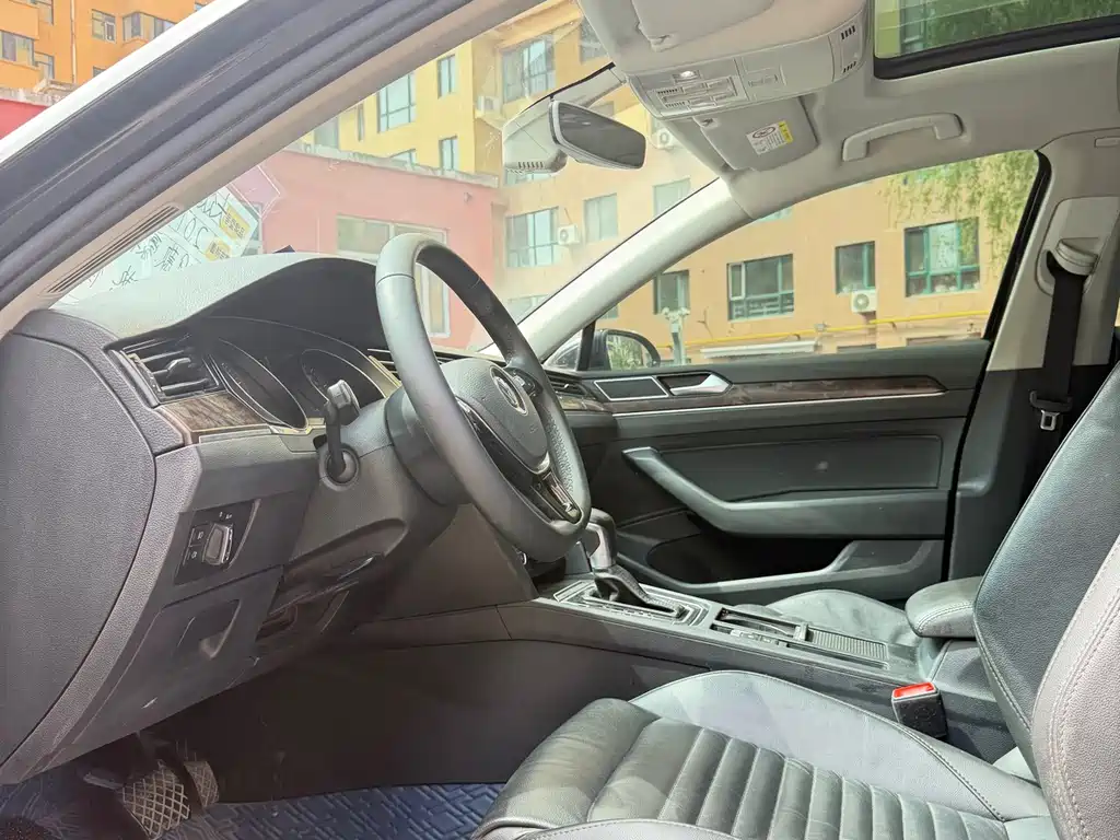 Volkswagen Magotan 2019 330TSI DSG Luxury VI