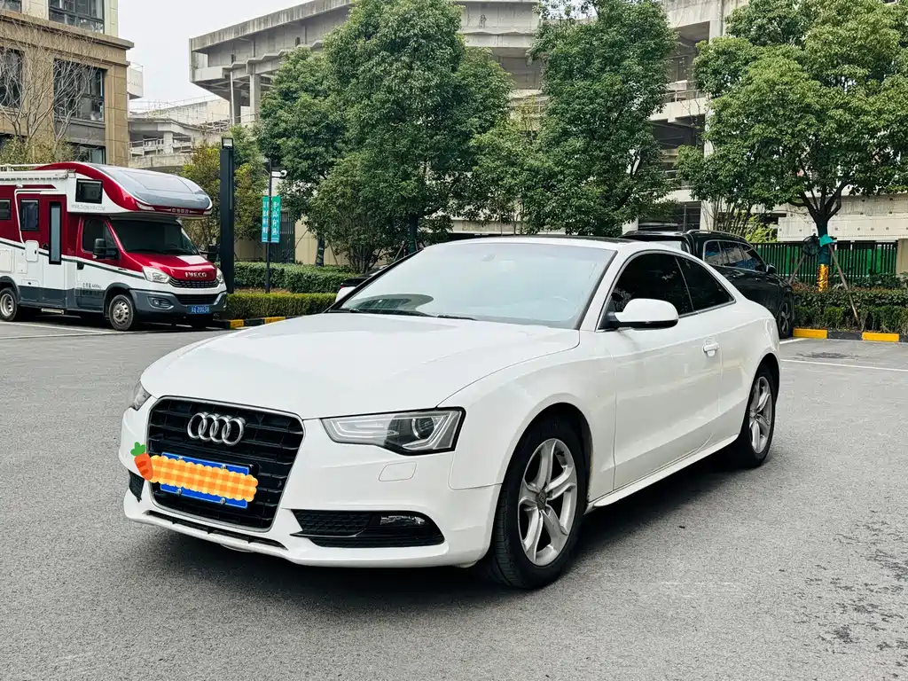 Audi A5 (Import) 2013