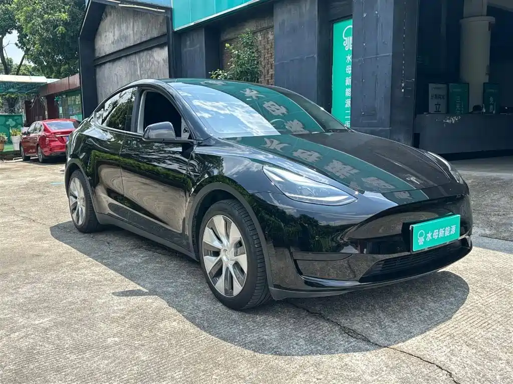 Tesla Model Y — миниатюра 11