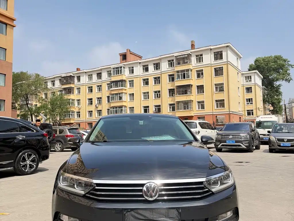 Volkswagen Magotan 2019 330TSI DSG Luxury VI
