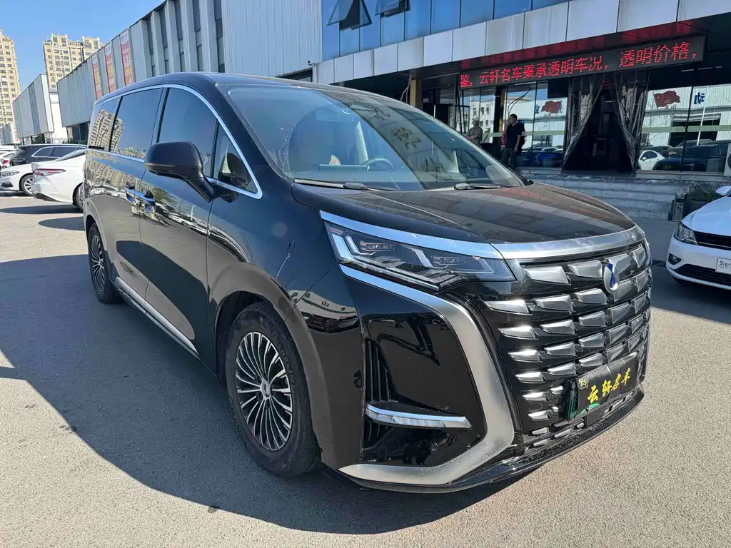 Denza Denza D9 — миниатюра 3