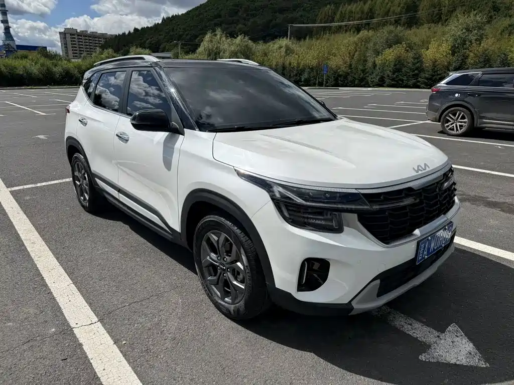 Kia Seltos — миниатюра 3