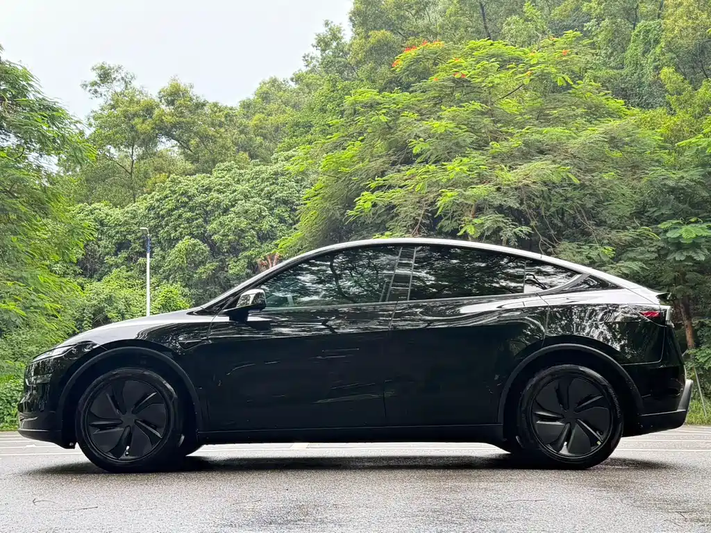 Tesla Model Y — миниатюра 2