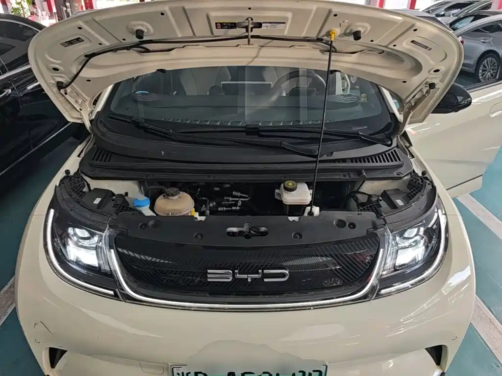 BYD Dolphin — миниатюра 20