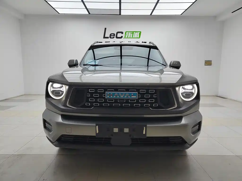 HAVAL SECOND GENERATION BIG DOG NEW ENERGY