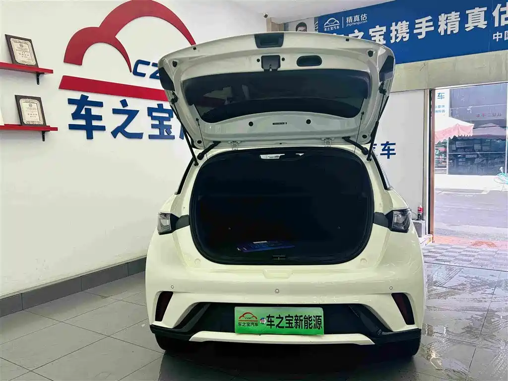 BYD Dolphin — миниатюра 9