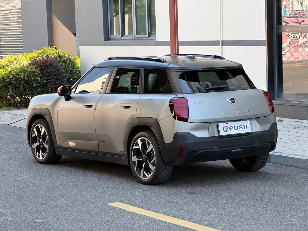 MINI MINI ACEMAN EV — миниатюра 6