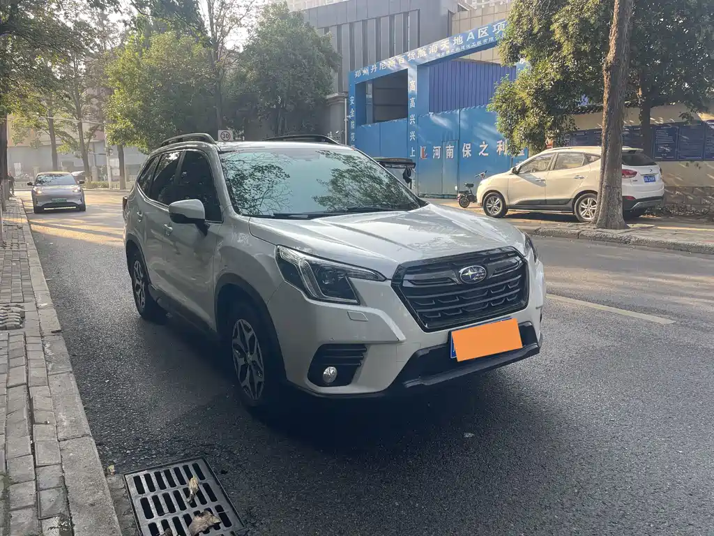 Subaru Forester — миниатюра 2