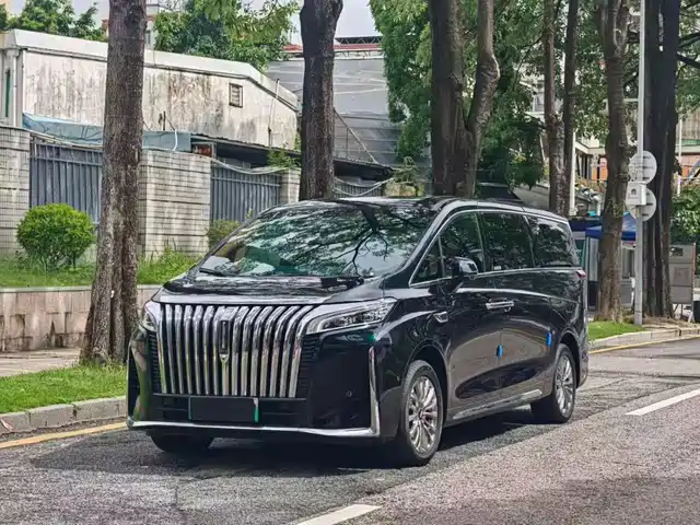 2024 Wey Gaoshan