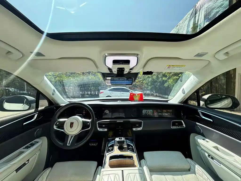 Hongqi HONGQI E HS9