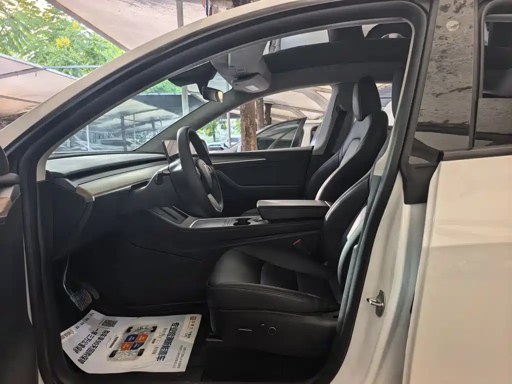 Tesla Model Y — миниатюра 5