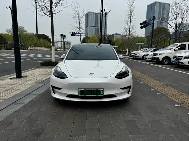 TESLA MODEL 3 2021
