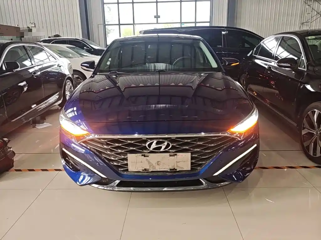 Hyundai Fista — миниатюра 3